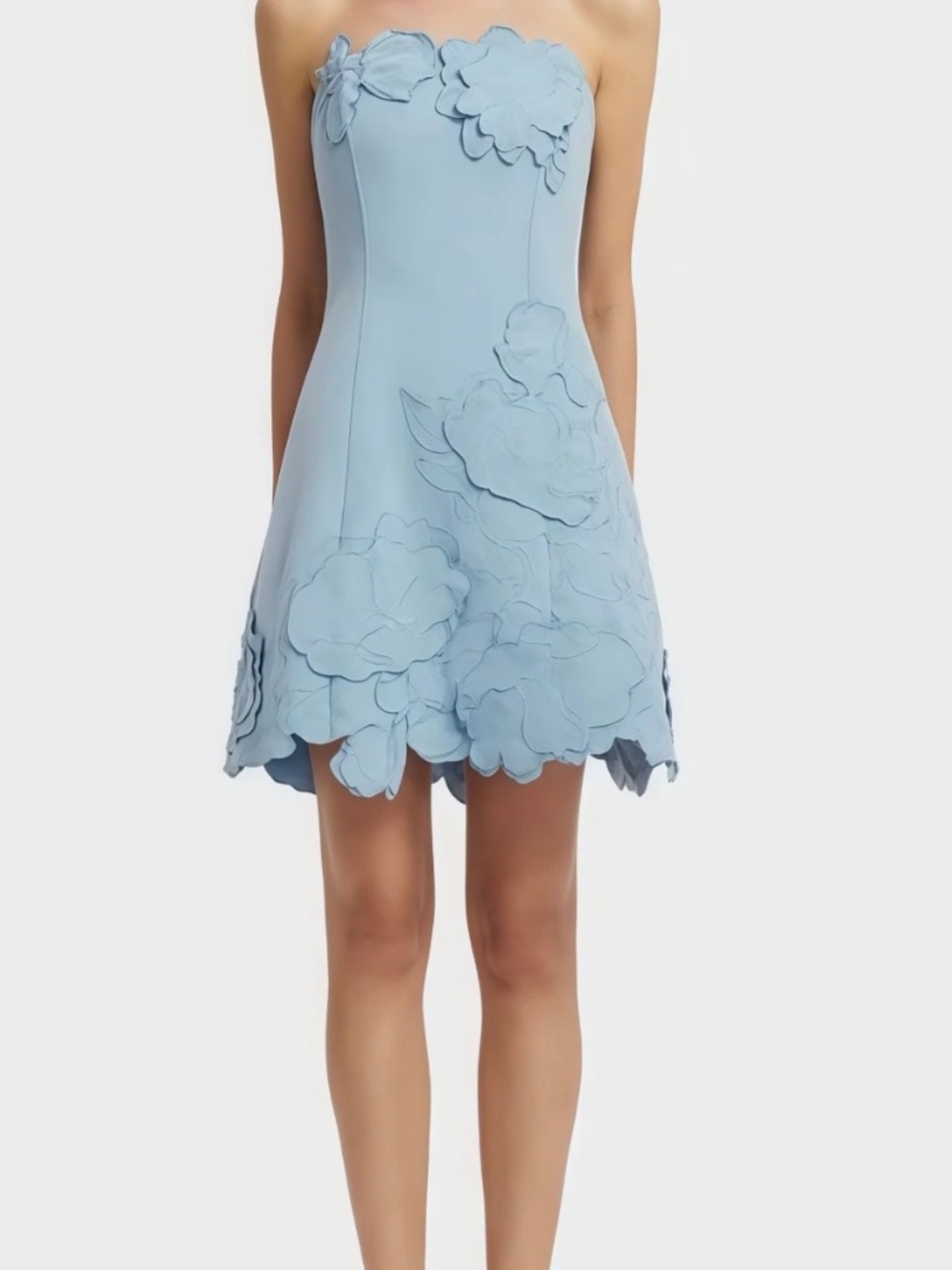 NWT Inga Blue Strapless 3D Floral Appliqué Mini Dress Large